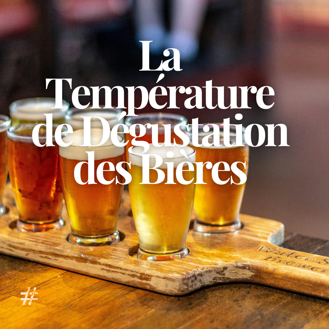 La Température de Dégustation des Bières