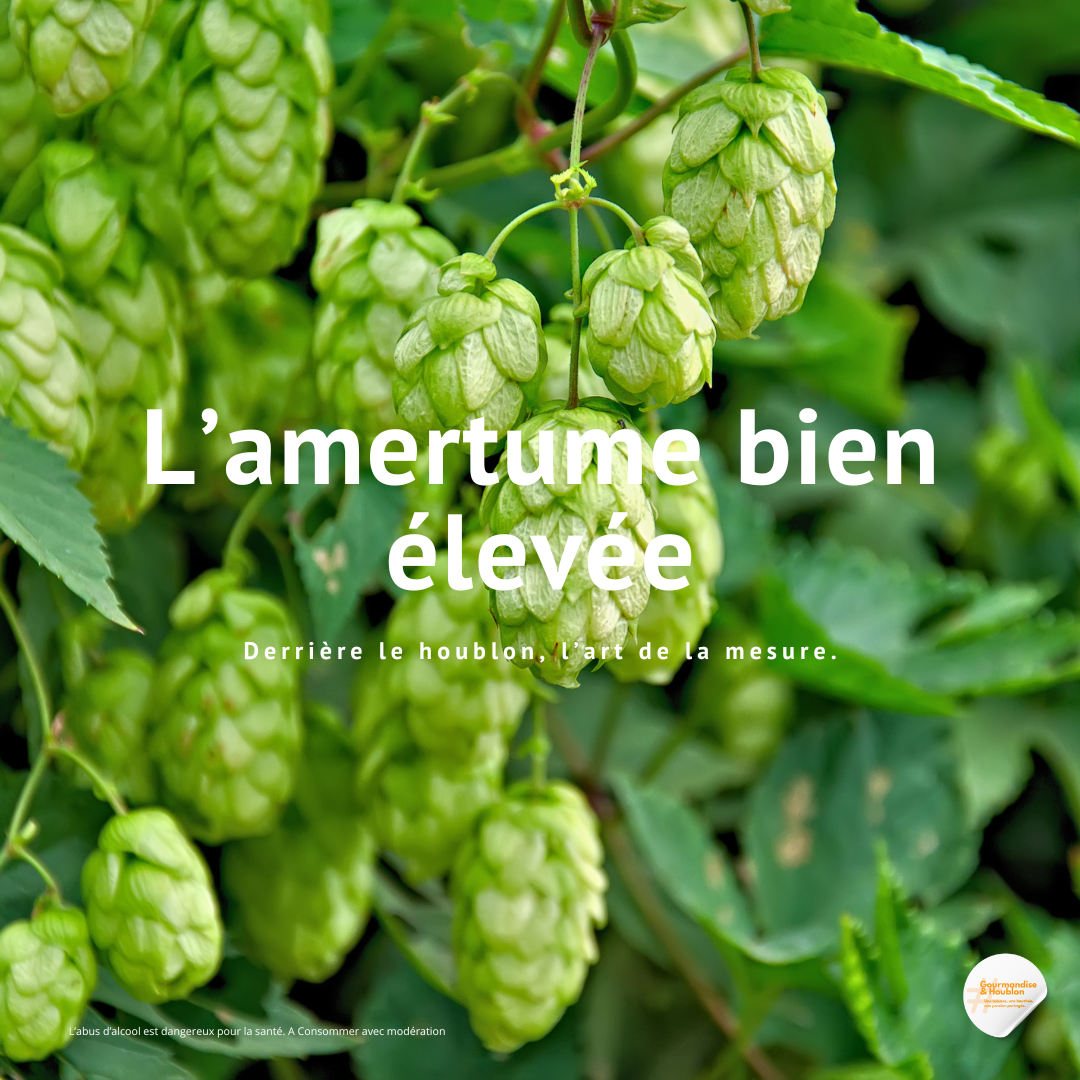 L’amertume bien élevée