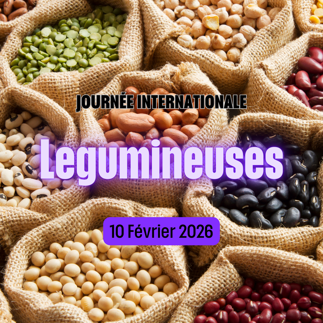 Journée Internationale des Légumineuses