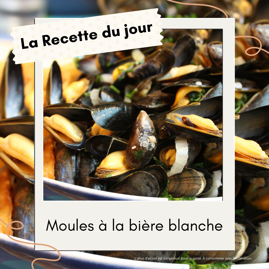 Moules à la Bière Blanche: Recette Simple et Savoureuse