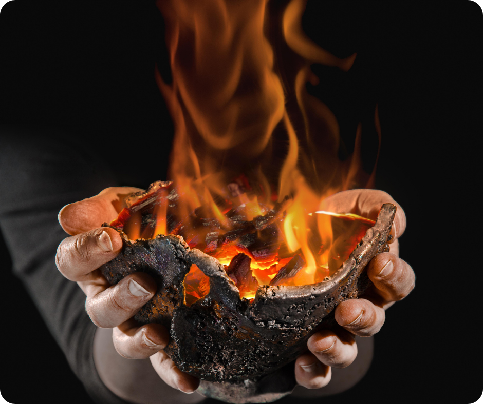 Zone Grillé(e)-Quand le feu nourrit